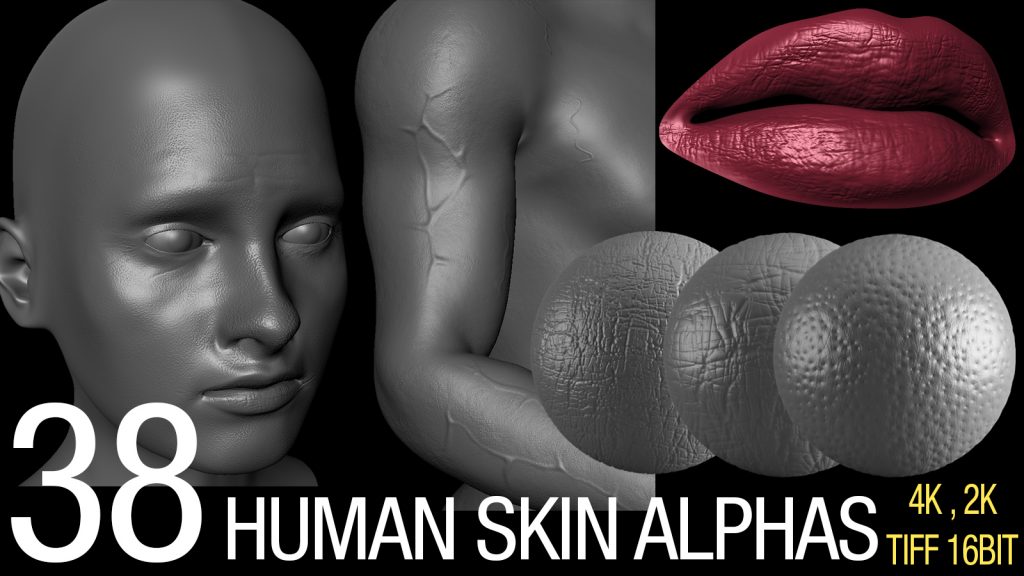 zbrush alpha skin human