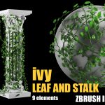 ivy and leaf zbrush imm brush